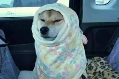 Ϊʲô˵������ů���²����22�����������(ͼ2)